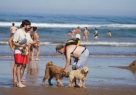 Perros entre los bañistas en la playa de Arrietara, en Sopelana.