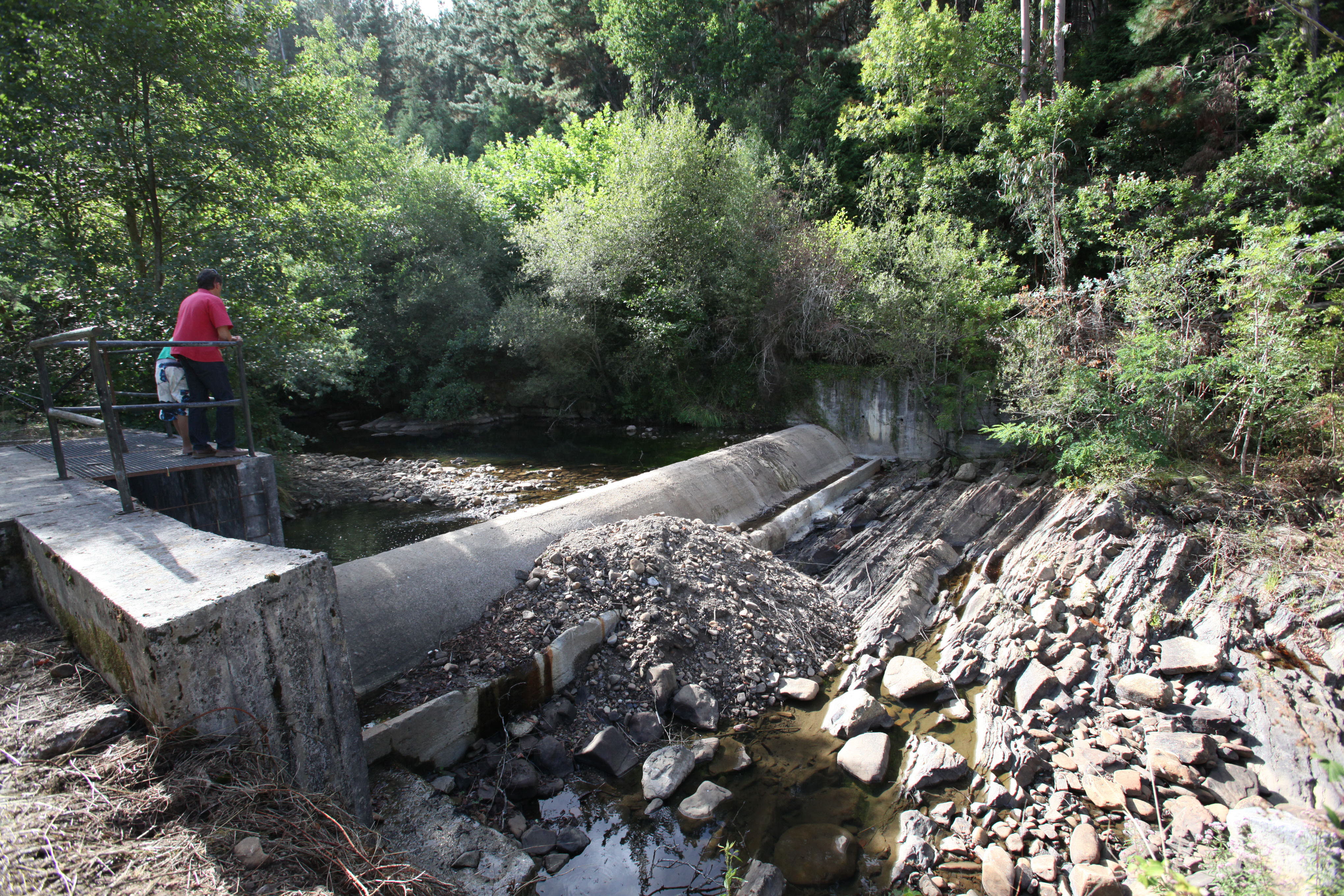 Aspecto del escaso caudal que presenta el río Mape de Busturia en época de sequía.