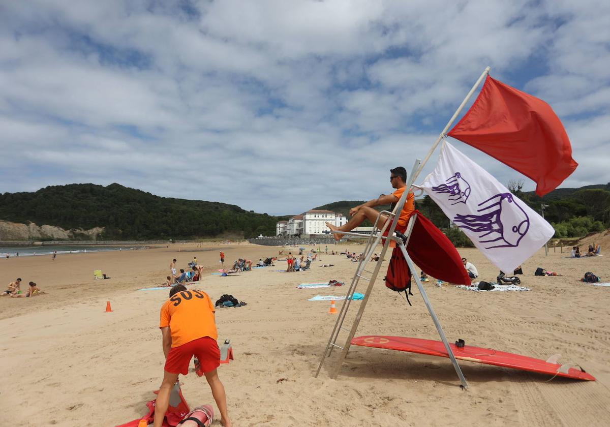 El pasado verano se la bandera de medusas se izó numerosas jornadas en las playas de Bizkaia.