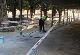 Las primeras intervenciones serán para colocar una estructura protectora en la zona de obras.