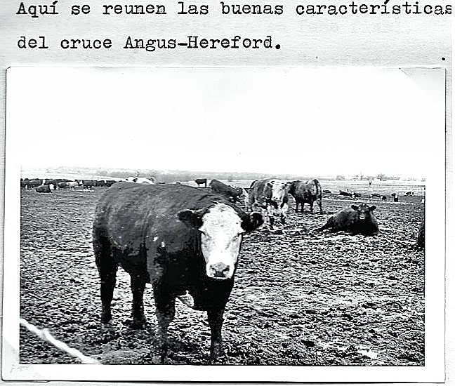 Foto del cuaderno de bitácora del viaje a EE UU que aparece en el libro.