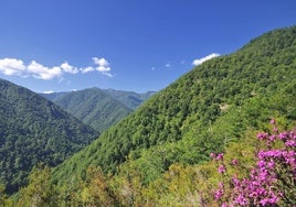 Ecología para salvar la Tierra