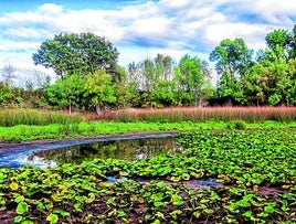 La laguna de Olandina es un espectáculo de la naturaleza.