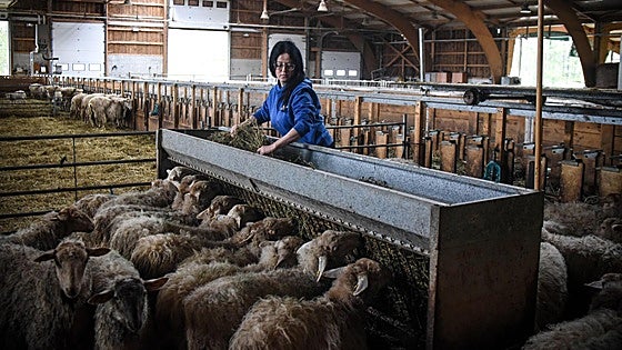 El Erasmus de los granjeros: «Dicen que lo rural está acabado, pero aquí ves que no»