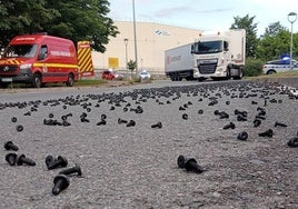 Los tornillos sobre la calzada de la calle Lermandabidea.