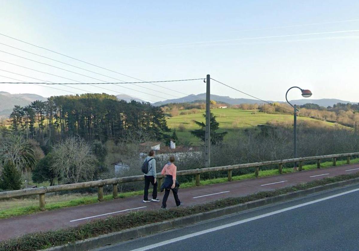 Tramo de bidegorri que transcurre paralelo a la carretera BI-2235.