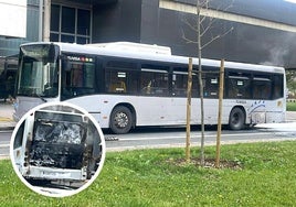 El conductor del autobús ha detenido el vehículo frente al número 14 de la Avenida 8 de Marzo, en un tramo en el que no hay turismos aparcados.