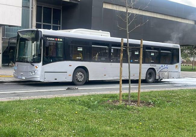 El conductor del autobús se ha visto obligado a detener el vehículo junto al número 14 de la Avenida 8 de marzo, junto al estanco, en Salburua.