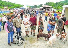 Miles de aficionados asistieron el año pasado en Dima a la fiesta de la Asociación de Cazadores y Pescadores Vascos.