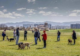 Los perros tienen que permanecer atados con correa en áreas recreativas y de rebaños.