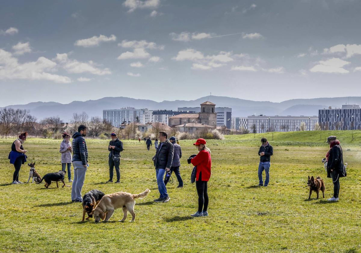 Los perros tienen que permanecer atados con correa en áreas recreativas y de rebaños.