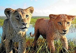 Crítica de 'Mufasa: El rey león' (2024): De 'Hakuna Matata', nada