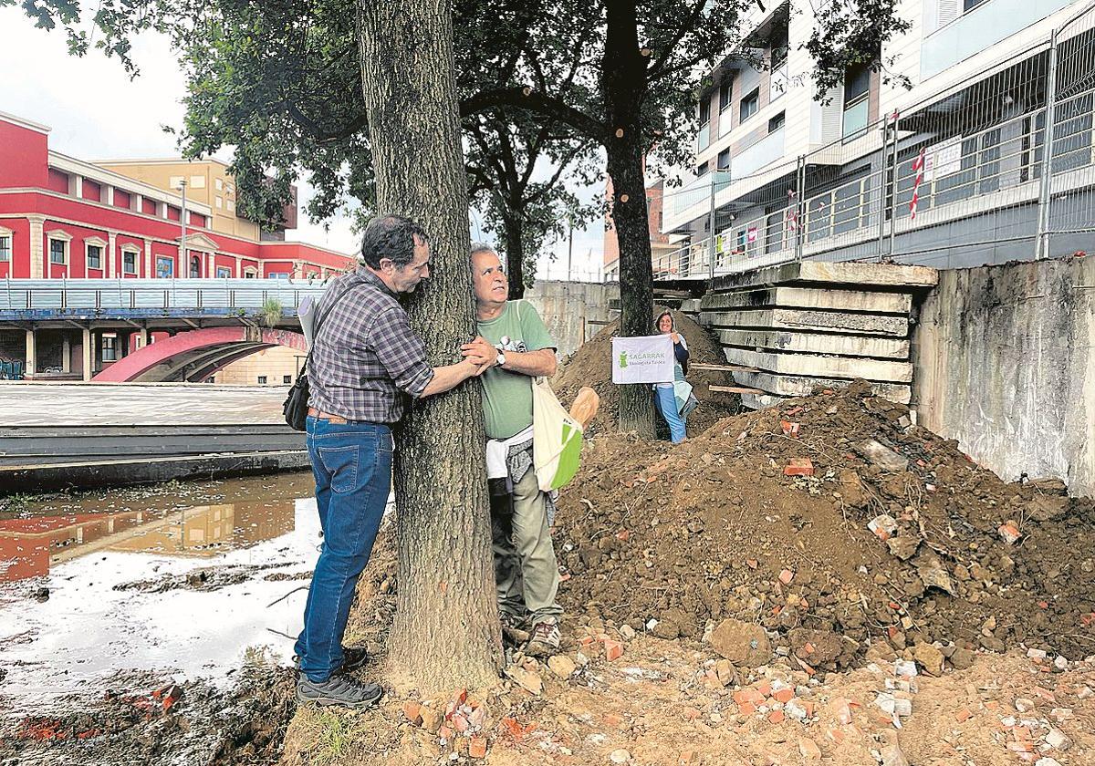 Los ecologistas de Sagarrak abrazan los robles de la plaza San Fausto.