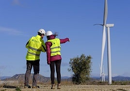 Forestalia conecta el País Vasco con la energía verde