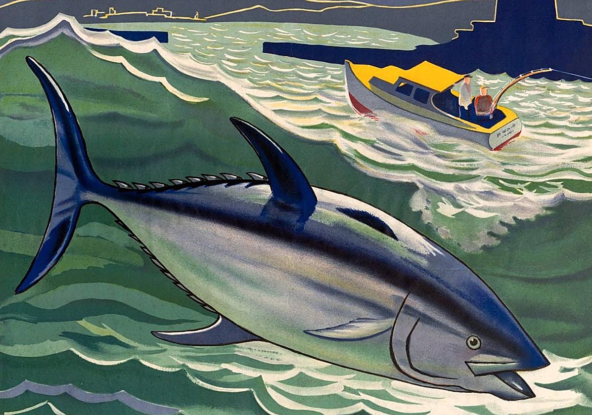 Cartel de un concurso de pesca de atún rojo o cimarrón en Sokoa.