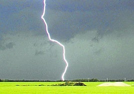 Los cultivos de cereal han sido los más perjudicados