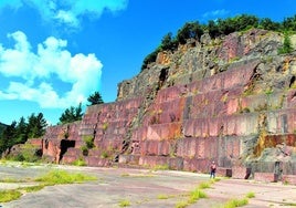 Calizas arrecifales. La gigantesca pared de piedra se levanta en pleno corazón de la Reserva de Urdaibai.