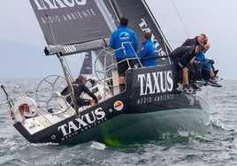 El Taxus, último ganador de la 'Ballena de Oro'