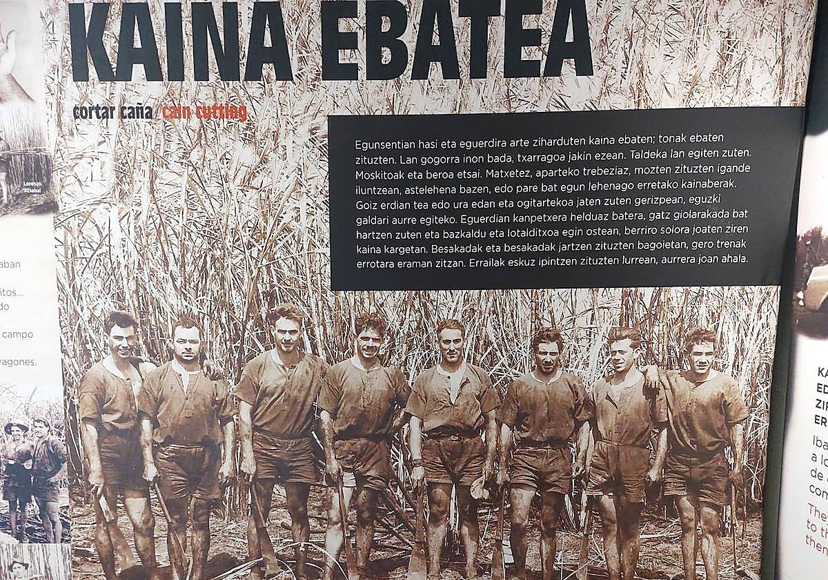 La exposición con diferentes fotografías se puede ver hasta el 19 de julio en el Centro Zelaieta.