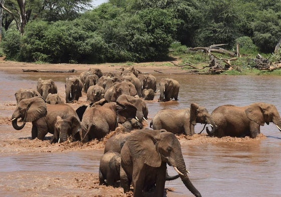 Un capataz amante de las motos: así era el español fallecido por el ataque de un elefante en Sudáfrica