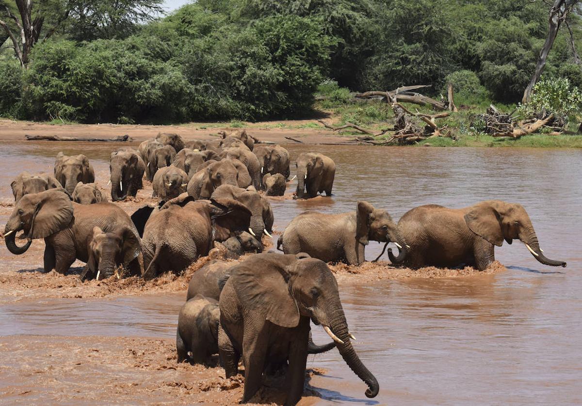 Un capataz amante de las motos: así era el español fallecido por el ataque de un elefante en Sudáfrica