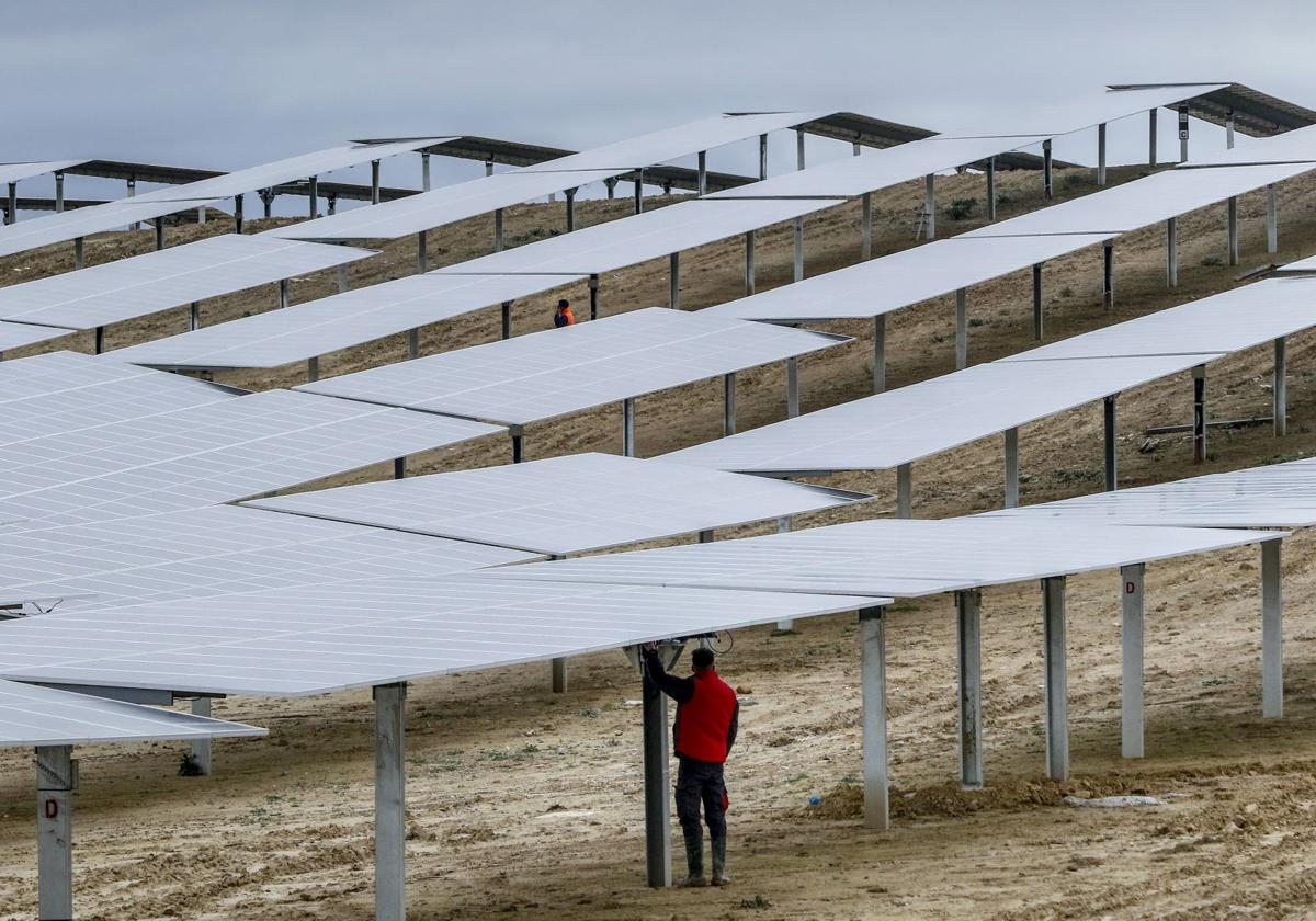 Un técnico inspecciona unas placas fotovoltaicas.