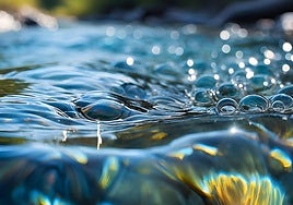 «Busturialdeko emari ekologikoak murrizteko erabakiaren aurka gaude»