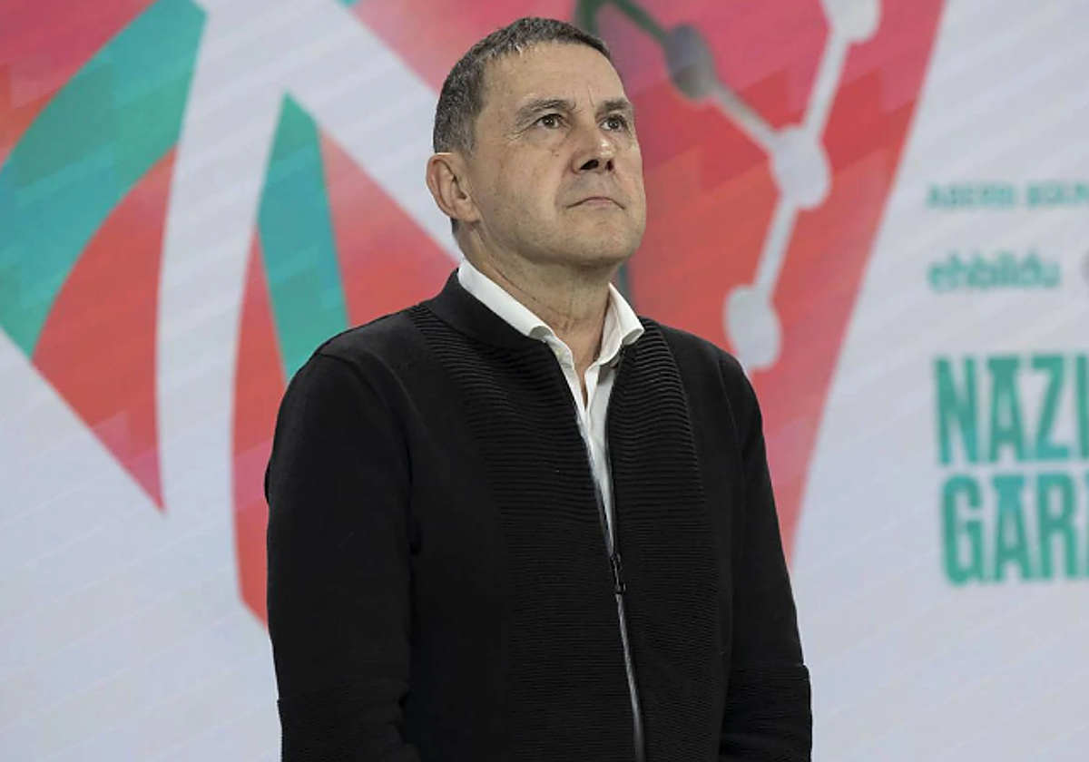Otegi dice que no se alegra de la victoria de España porque «no es mi selección, no es mi rey y no es mi himno»