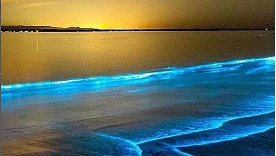 La playa española con agua luminiscente que revoluciona TikTok