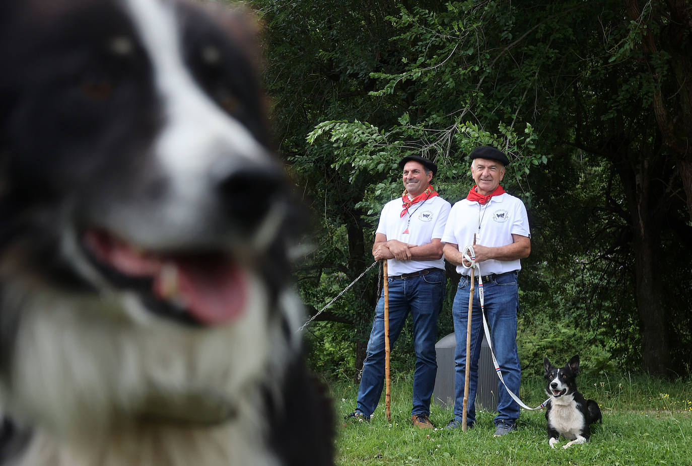 Las mejores imágenes del campeonato de perros pastor de Euskal Herria