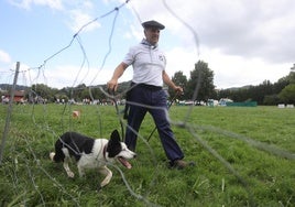 Uno de los participantes con su border collie.