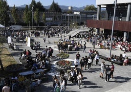 Verano escolar e invierno demográfico