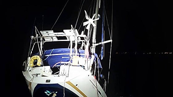Nuevo ataque de orcas en el Estrecho: hunden un velero y tienen que rescatar a los tripulantes