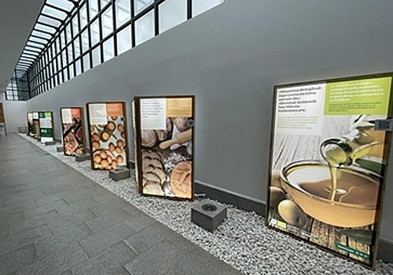 'Dena hobetzen da elikadura ekologikoarekin!' erakusketa ikusgai