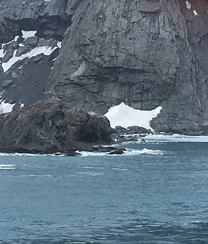 Imagen secundaria 2 - Tres imágenes de Isla Elefante.