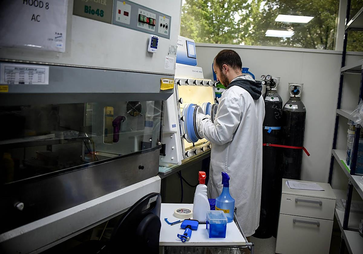 Un investigador trabaja en uno de los laboratorios del CIC Biogune.