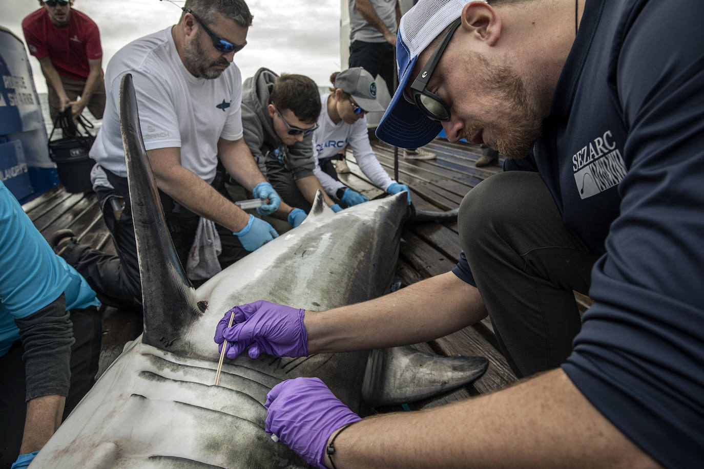 Expediciones anteriores del OCEARCH.