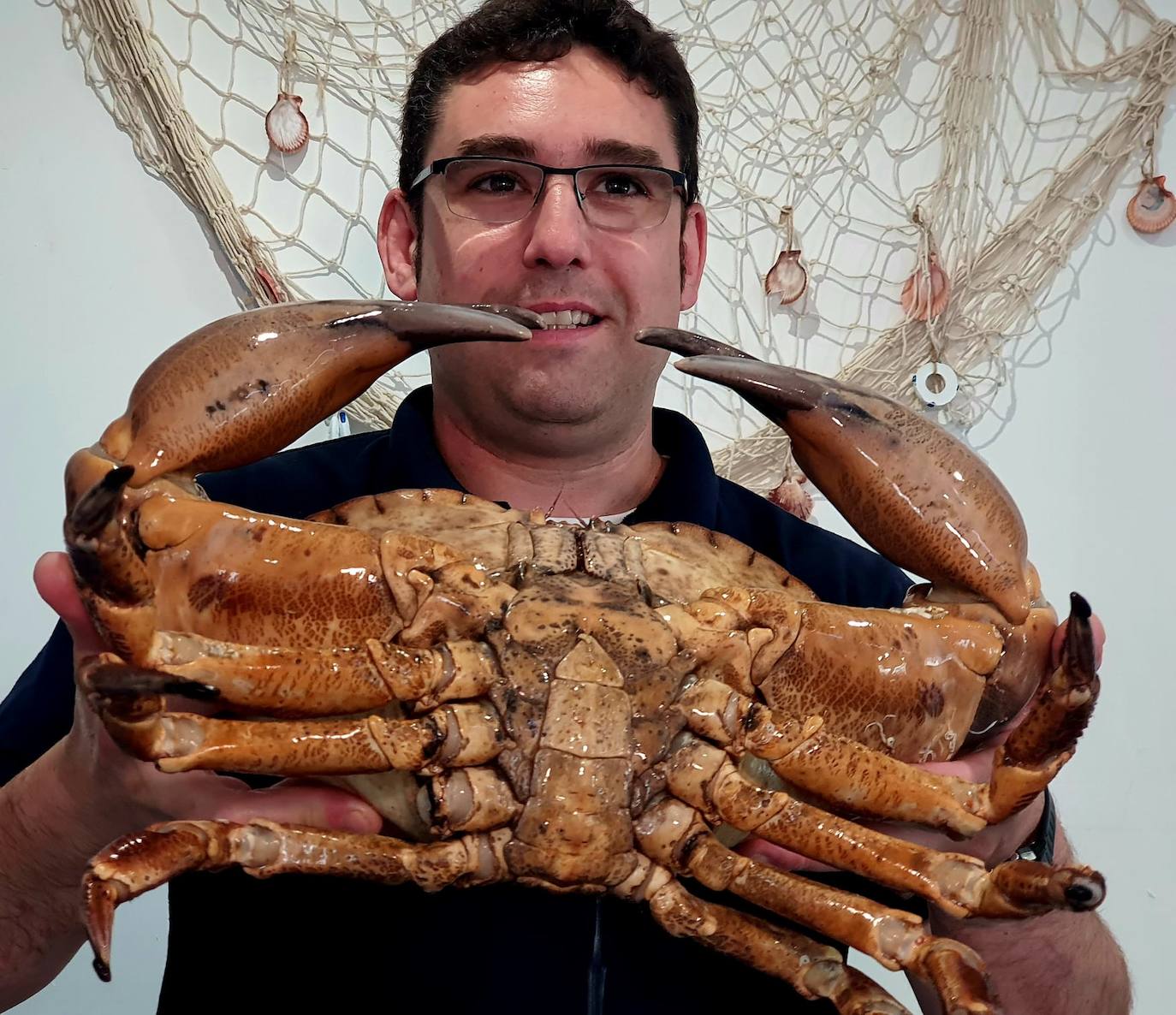 Exposición de pescados y mariscos