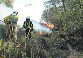 Los bomberos de la Diputación combaten las llamas desatadas el 24 de octubre de 2022.