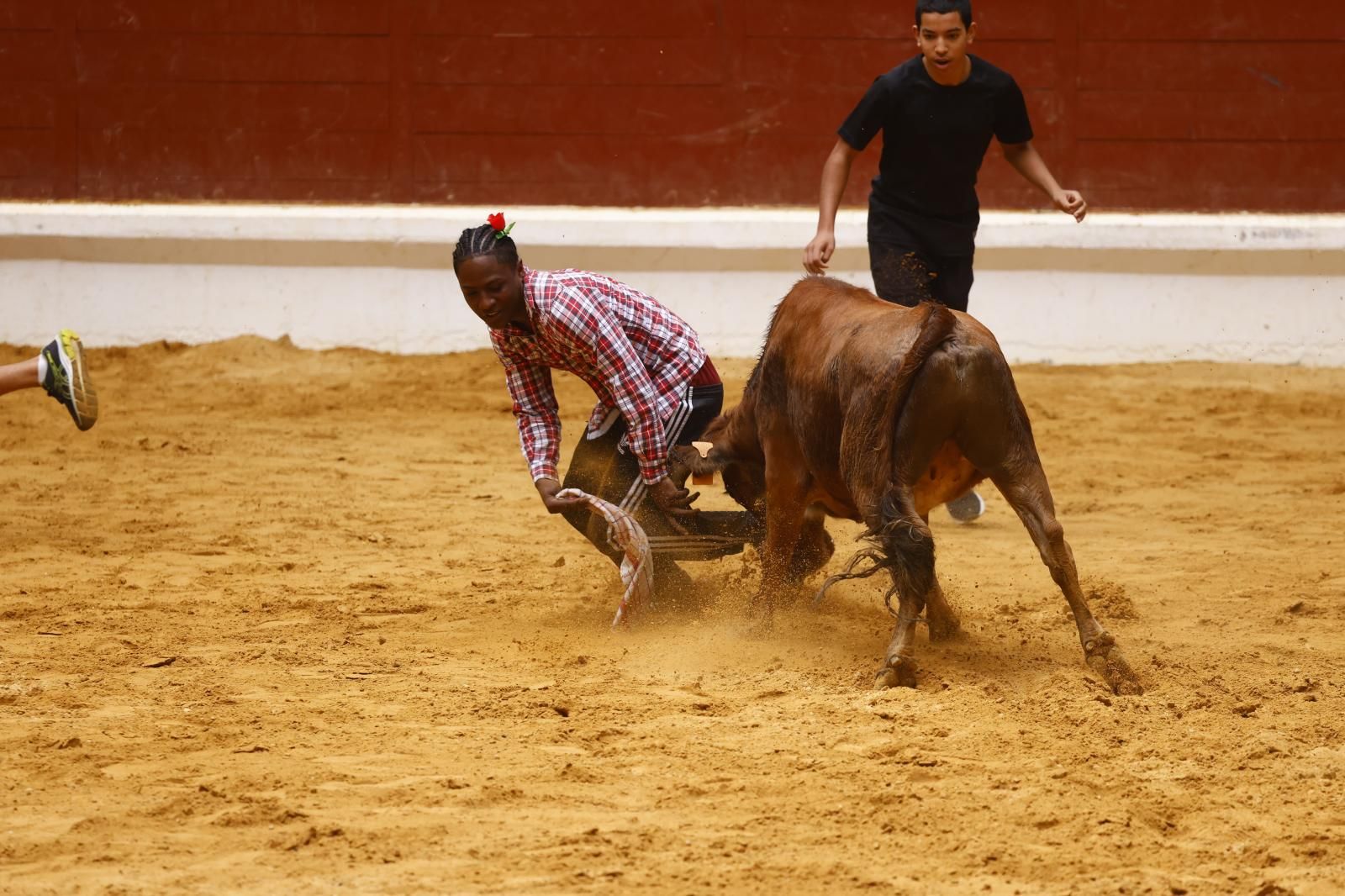 Las vaquillas en imágenes