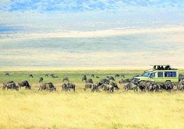 Imagen de un safari en el Ngorongoro, uno de los parques más visitados de Tanzania.