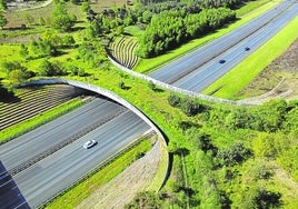 Ecoducto construido en los Países Bajos, similar a los que se plantea ejecutar la Diputación en la A-8 a su paso por Muskiz.