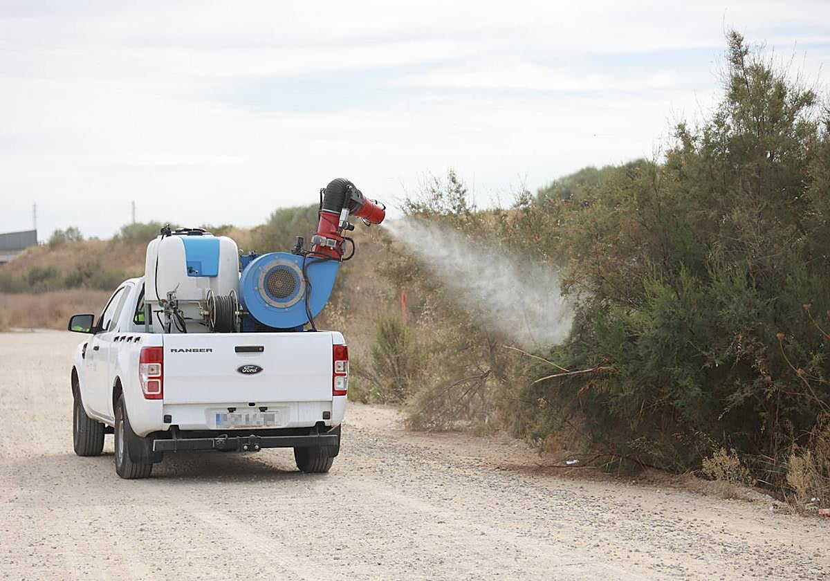 Un vehículo fumiga una zona afectada por los mosquitos en la localidad sevillana de Coria del Río.