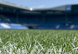 La 'alfombra verde' de Mendizorroza ya está lista.