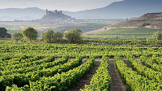 El Parlamento de La Rioja debatirá restablecer el nombre de 'Sierra de Cantabria'