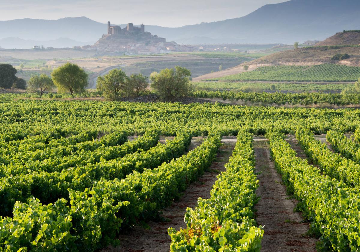 'Sierra de Cantabria' convive en algunas zonas de la cordillera con 'Sierra de Toloño'.