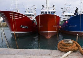 La industria pesquera, ante los cambios climáticos