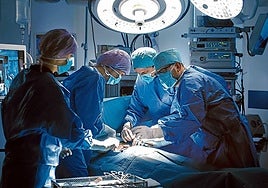 España lideró la donación de órganos en 2023, un año histórico para los trasplantes