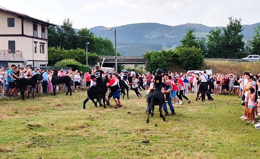 Imagen de una de las dos carreras co burros celebrada en Zalla.