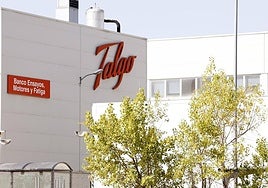 Los húngaros mantienen la opa y el accionista principal, Trilantic, centra todas las miradas